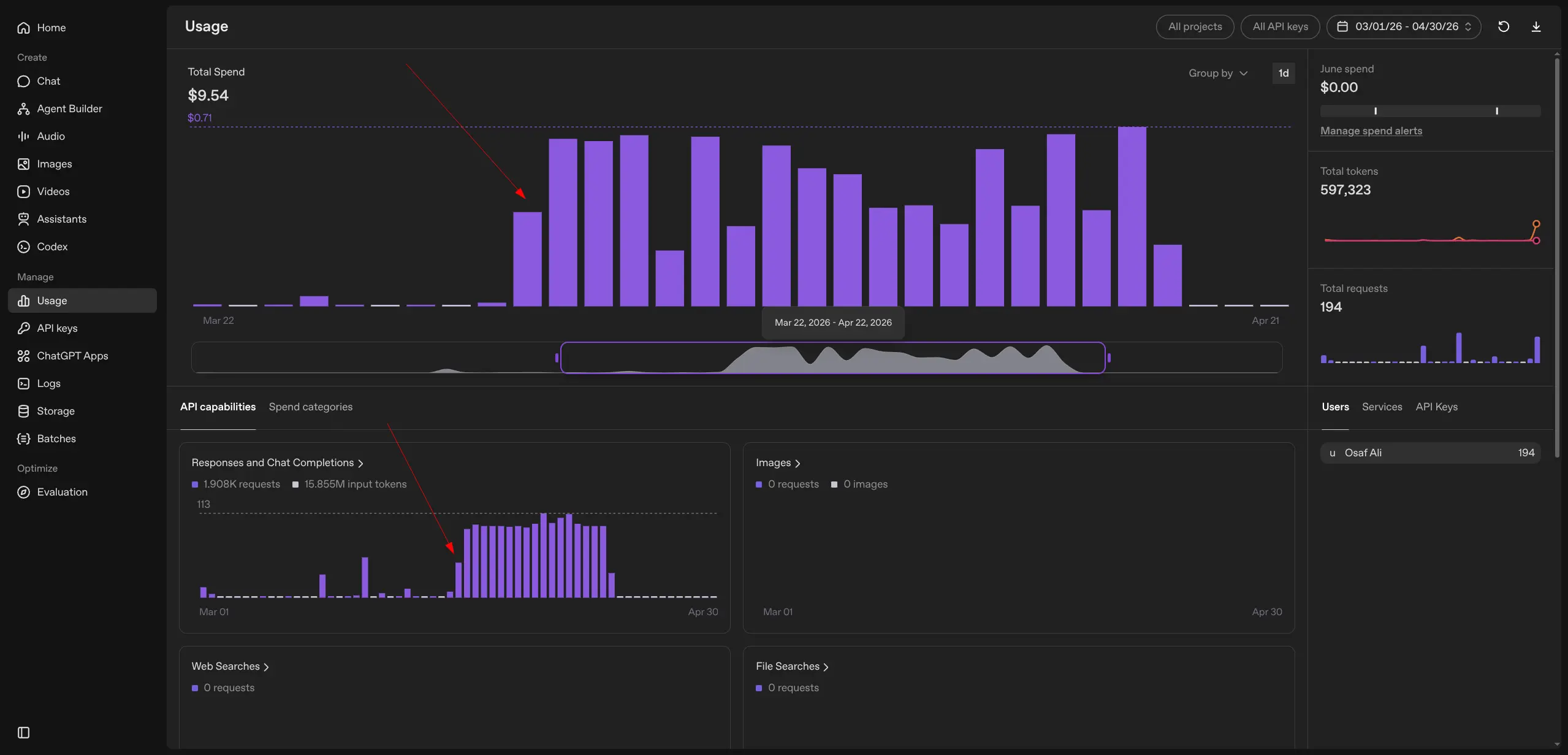 open-ai usage logs